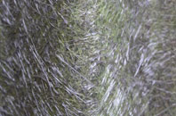 Helperby fibreglass roof work